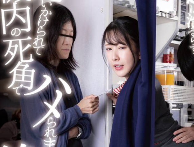 DANDY-968 うぶな男の子に冗談半分の挑発パンチラしたら超暴走！ 仕方なく射精させてあげても勃起は治まらず追いかけられて機内の死角でハメられまくる美人CA